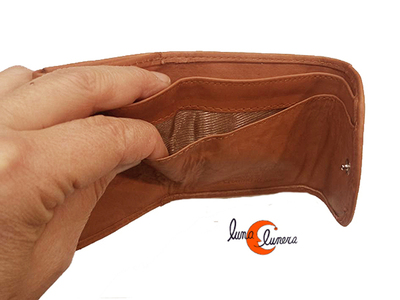 Esta foto enseña el modelo, los colores pueden ser diferentes al monedero que está en venta