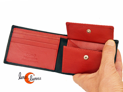 Cartera americana de piel con monedero interior