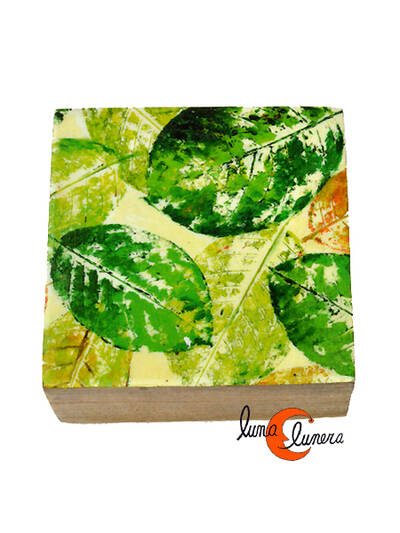 Caja de madera grande, hojas verdes.