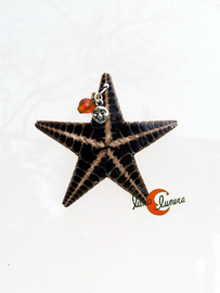 Broche estrella de mar, negro.