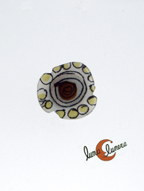 Anillo plano Xispusas, flor dibujada mediana amarilla y marrón.