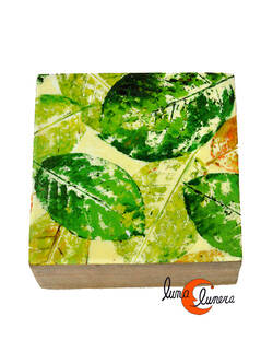 Caja de madera grande, hojas verdes.