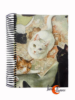 Libretas de papel, cuadrada gatos.
