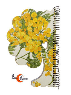 Libretas de papel, árbol con flores de mimosa.
